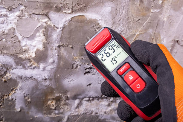 Best Mold Removal Specialists  in Coraopolis, PA